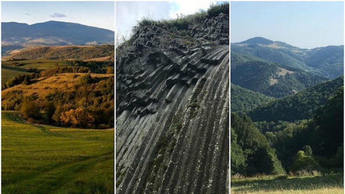 Befunky collage 3 3.jpg