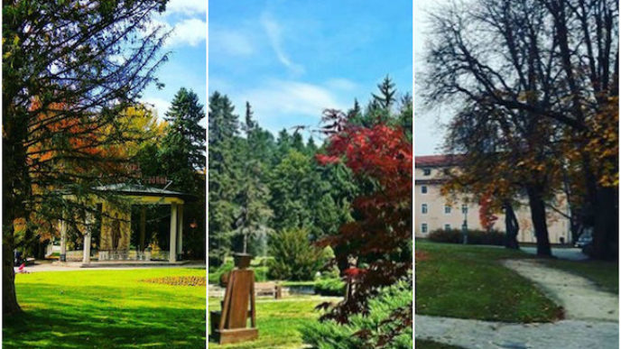 Befunky collage 3 6.jpg