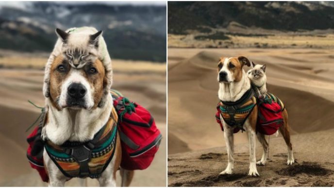 Befunky collage 31.jpg