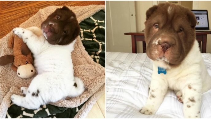 Befunky collage 24.jpg