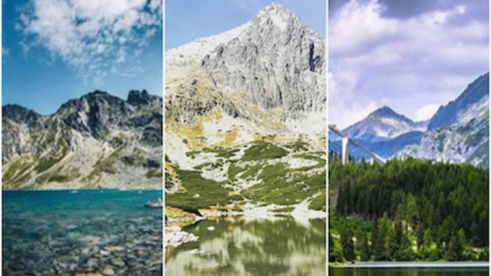 Befunky collage 3 7.jpg