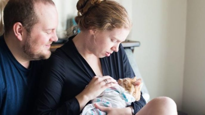 Cat birth photoshoot lucy schultz 11 5a5dad1c27a43__700.jpg