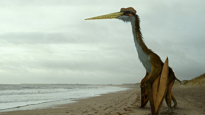 Pterodaktyltitulna.jpg