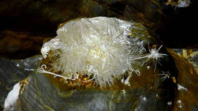 Sni mka obrazovky 2018 01 17 oa14.02.34.jpg