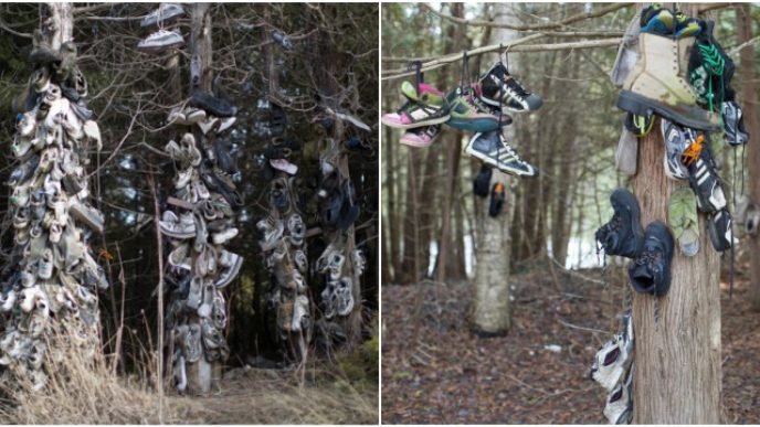 Befunky collage 18.jpg