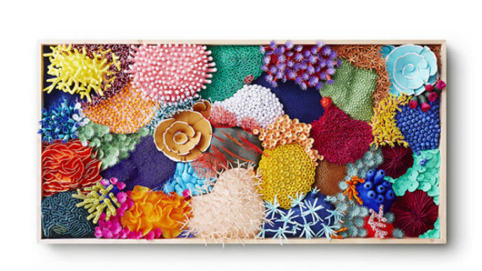 Hypolite corail p 5a74450b53171__880.jpg