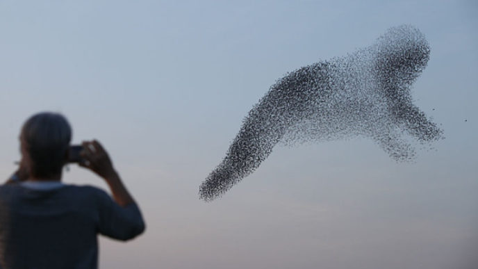 Img_0831 m 5a870d99ca47a__880.jpg