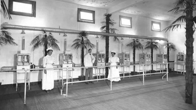 Inkubatory babatka wiki.jpg