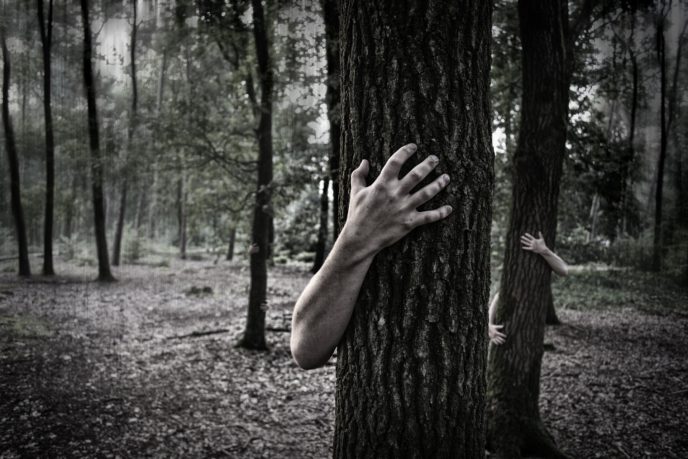 Http://maxpixel.freegreatpicture.com/Zombies Trunk Creepy Horror Scary Forest Hands 984032
