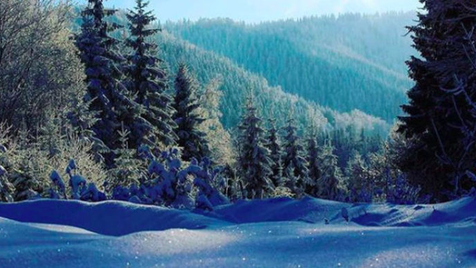 Sni mka obrazovky 2018 02 12 oa15.36.01.jpg