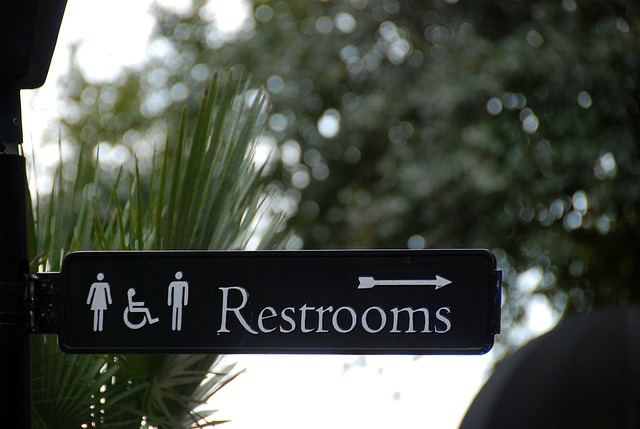 Verejne toalety pixabay 3.jpg