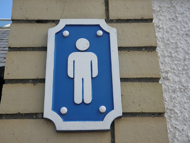 Verejne toalety pixabay 5.jpg