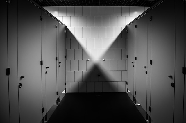 Verejne toalety pixabay 9.jpg