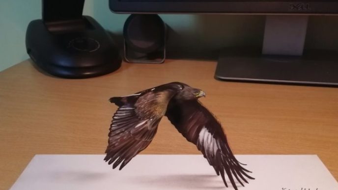 26233729_1012000892273080_212328348917179894_o 5a83317d4bb75__880.jpg