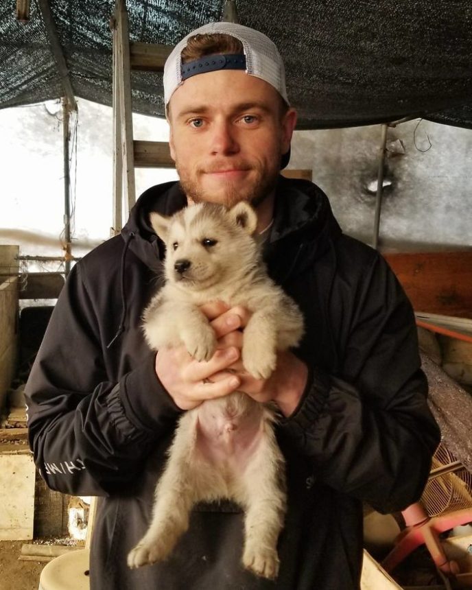 American skier saves 90 dogs at south korea olympics 5a95113f0524d__700.jpg