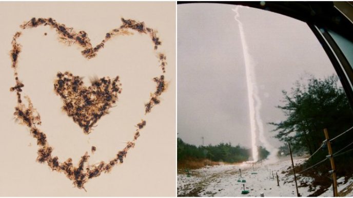 Befunky collage 17.jpg