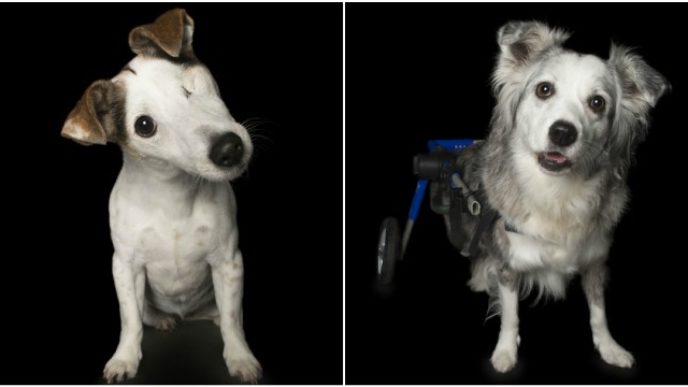 Befunky collage 20.jpg