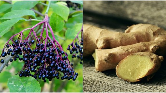 Befunky collage 4.jpg