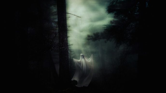 Http://maxpixel.freegreatpicture.com/Halloween Weird Spooky Forest Ghost Spirit Creepy 2874344