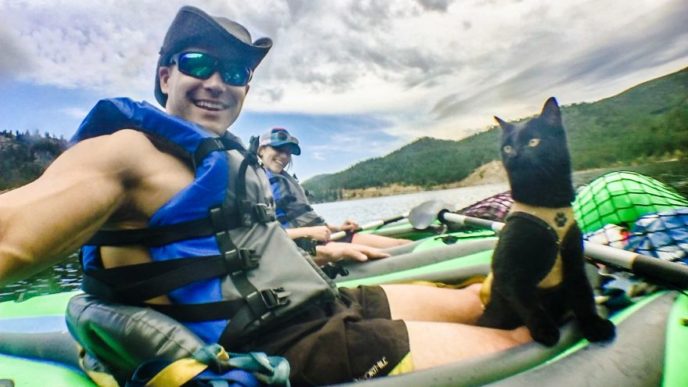Meet simon the adventure cat who hikes kayaks and mountain climbs 5ab4f70b427fd__880.jpg