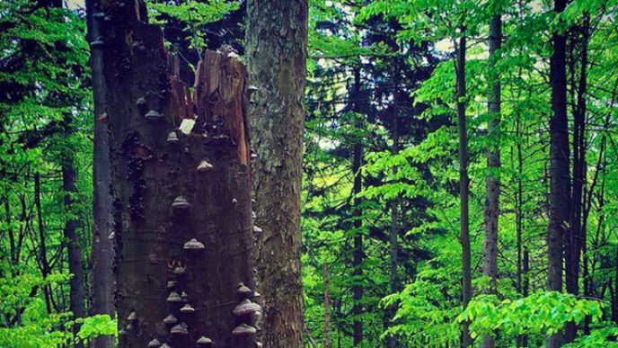 Sni mka obrazovky 2018 03 25 oa10.36.49.jpg