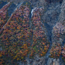 The end of the earth is full of colors 5aa8ead1a6547__880.jpg