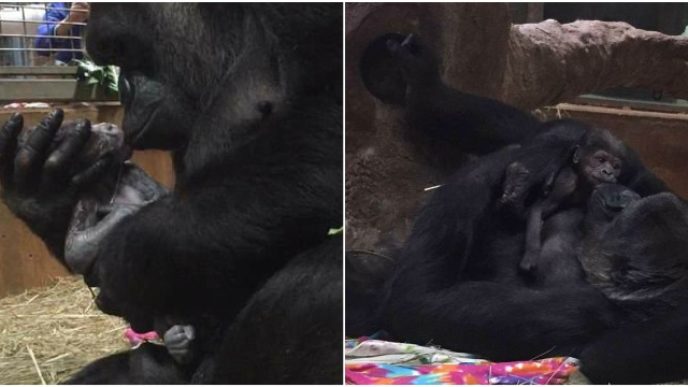 Befunky collage 11.jpg