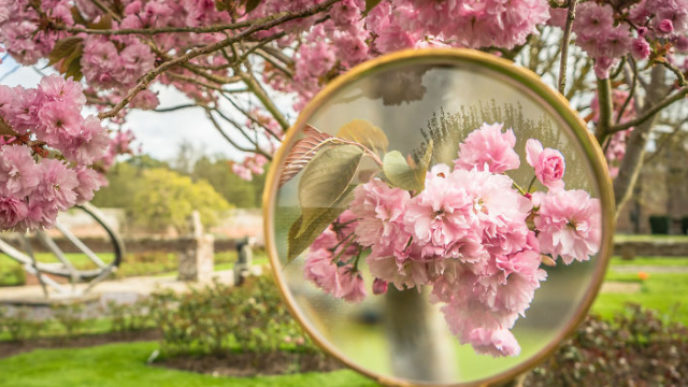 Dsc00379 2 5ae395e8b9095__880.jpg