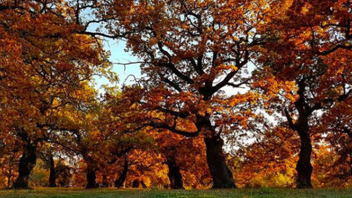 Sni mka obrazovky 2018 04 08 oa18.54.00.jpg