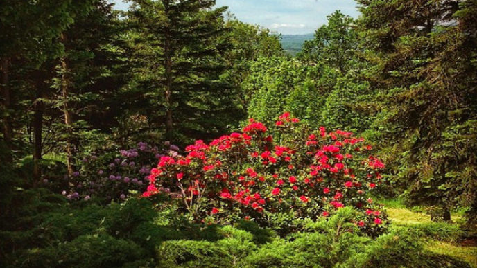 Sni mka obrazovky 2018 04 12 oa11.54.58.jpg