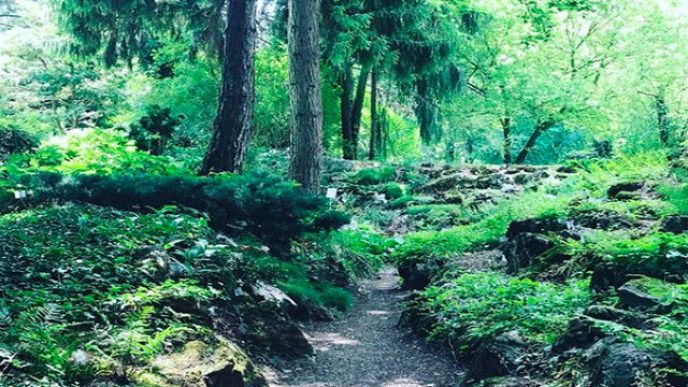 Sni mka obrazovky 2018 04 14 oa22.00.03.jpg