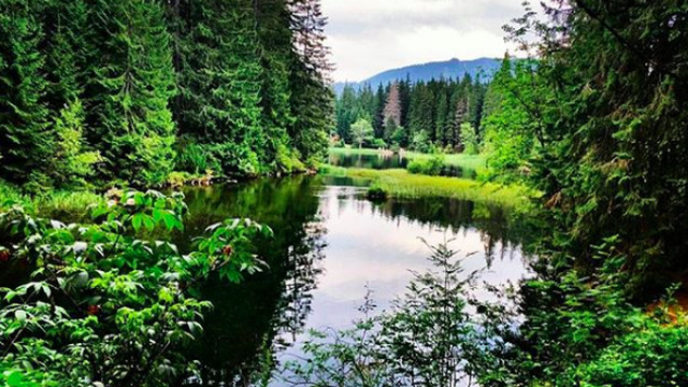 Sni mka obrazovky 2018 04 30 oa19.50.52.jpg