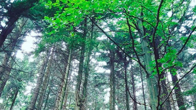 Sni mka obrazovky 2018 05 08 oa15.46.10.jpg