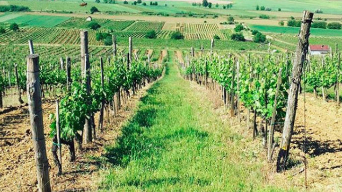 Sni mka obrazovky 2018 05 13 oa18.53.51.jpg