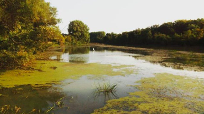 Sni mka obrazovky 2018 05 14 oa21.37.51.jpg