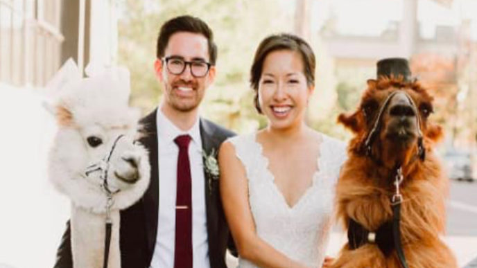 Sni mka obrazovky 2018 05 20 oa12.01.23.jpg