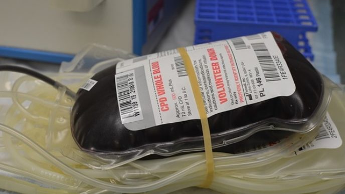 Blood 732297_640.jpg