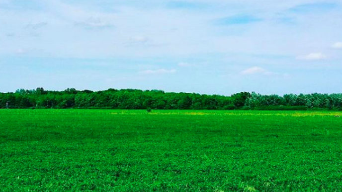 Sni mka obrazovky 2018 06 17 oa15.18.35.jpg