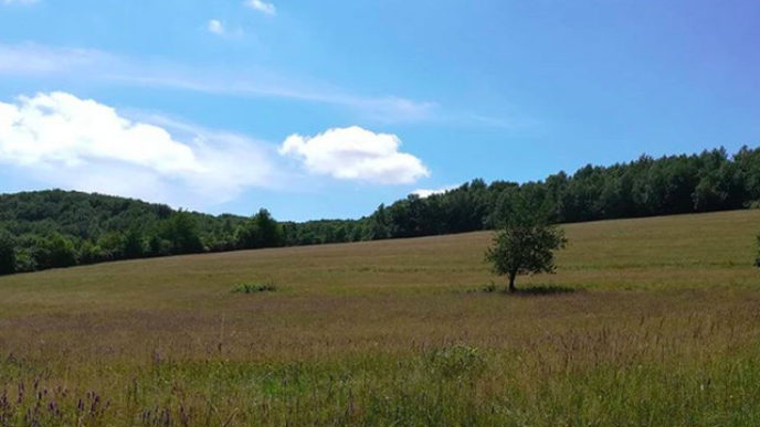 Sni mka obrazovky 2018 06 17 oa15.32.35.jpg