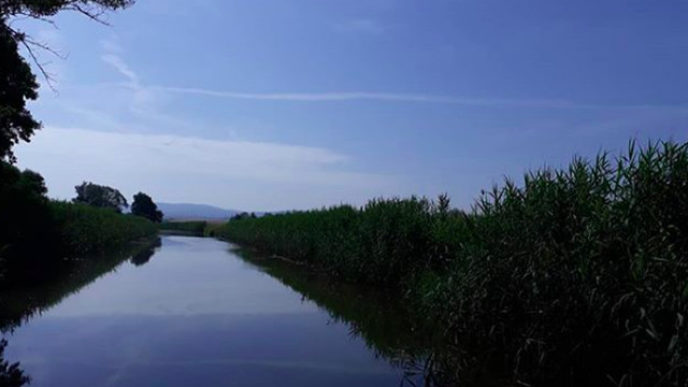 Sni mka obrazovky 2018 06 25 oa14.01.18.jpg