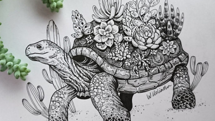 69 5b4dd80a6513b__880.jpg