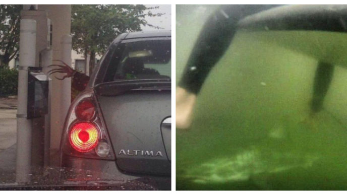 Befunky collage 8.jpg