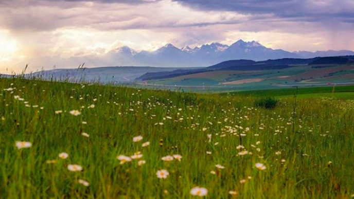 Sni mka obrazovky 2018 07 11 oa10.06.58.jpg