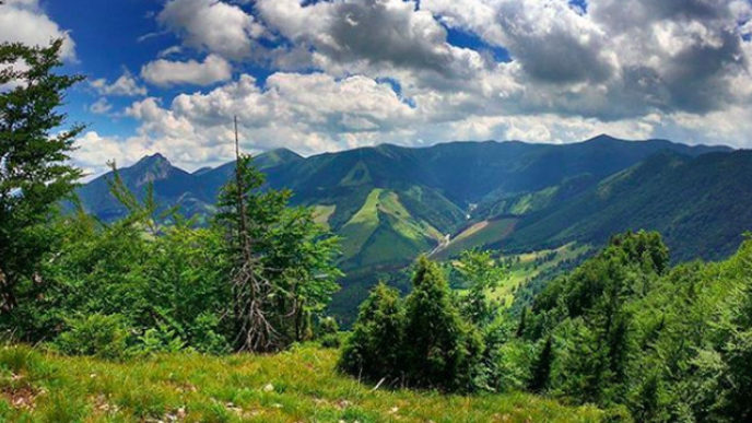 Sni mka obrazovky 2018 07 13 oa13.29.23.jpg