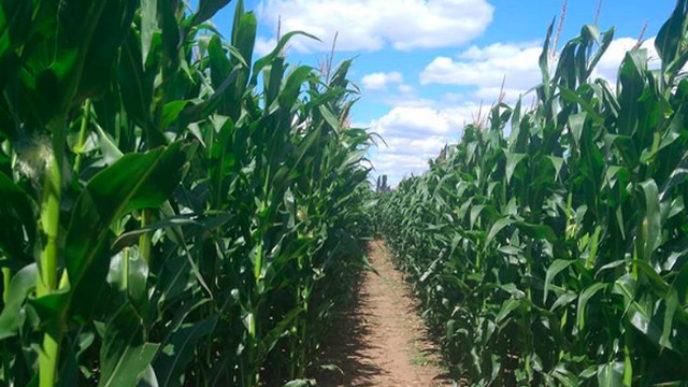 Sni mka obrazovky 2018 07 14 oa17.06.19.jpg