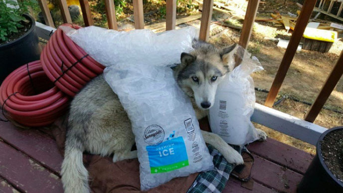 Sni mka obrazovky 2018 07 28 oa10.44.15.jpg