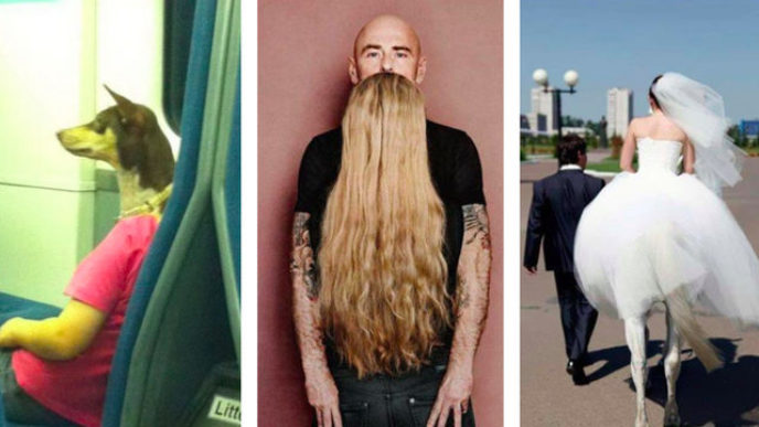 Befunky collage 1.jpg