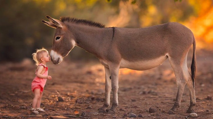 Sni mka obrazovky 2018 08 11 oa9.41.19.jpg