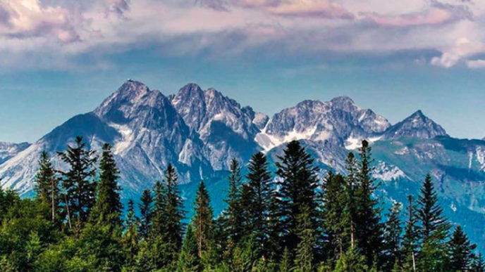 Sni mka obrazovky 2018 08 19 oa12.06.06.jpg