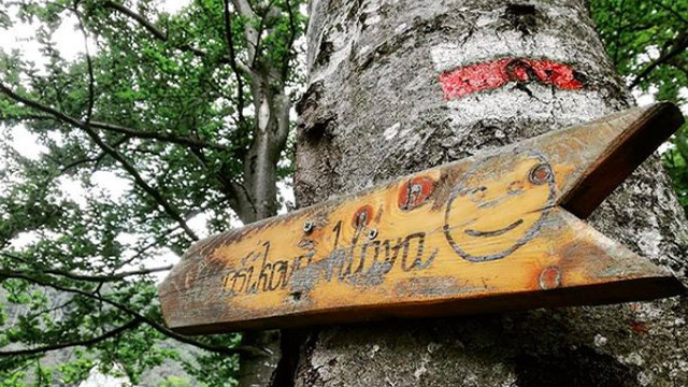 Sni mka obrazovky 2018 08 19 oa12.13.16.jpg